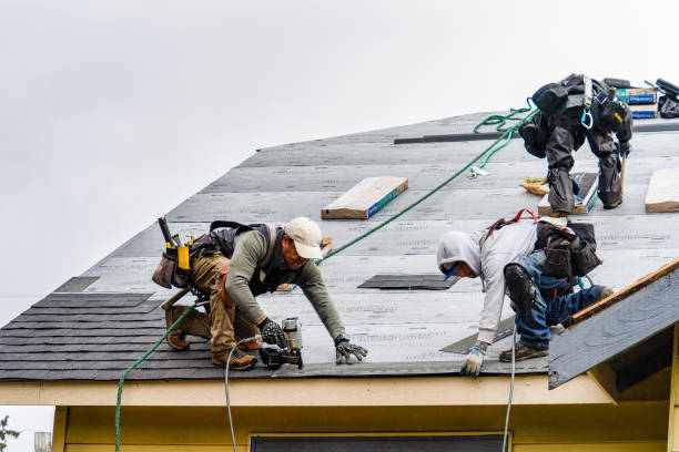 Professional Gutter Installation technician working in Reddick, IL
